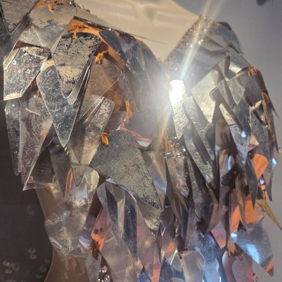 VESA SILVER FRINGE LATIN RHYTHM BALLROOM DRESS - Picture 13 of 13